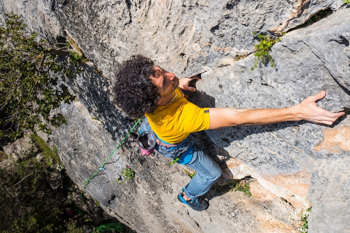 LA FABRIQUE VERTICALE 1 AN